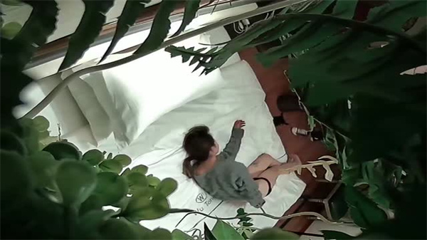 酒店情趣绿植房偷拍绝密流出，娇喘连连香艳刺激